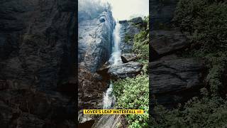 Beautiful Waterfall in Sri lanka 😍 ytshorts viral [upl. by Baalbeer]