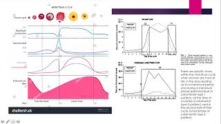 Catamenial Epilepsy Webinar [upl. by Novyad138]