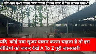 Piggery farm design pig farming in India सूअर पालन कैसे करें how to start pig farming in India [upl. by Lemay]