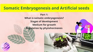 Somatic Embryogenesis and Artificial Seeds  Part 1  Plant Tissue Culture [upl. by Lizzy]