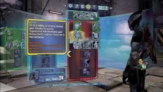 Borderlands 2 Zer0 Lvl 50 skill build [upl. by Mell]