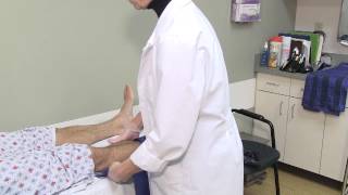 Peripheral Vascular Arterial Testing [upl. by Rocray299]