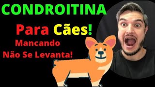 CONDROITINA e Glucosamina Cachorro Mancando Problemas de Coluna Displasia com Dor Articulações Cães [upl. by Eissahc451]