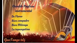 Tanda di tango Osvaldo Pugliese Instr 1949 52 [upl. by Ackley190]