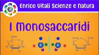 I MONOSACCARIDI classificazione isomeria forme anomeriche del glucosio e fruttosio Video in 4K [upl. by Ahsenrat]