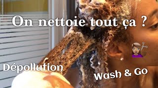 DIY Dépollution  Wash amp Go définition maximale [upl. by Anaeerb]