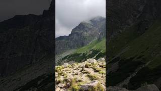 Zakopane pod Górami 🗻 Polskie Tatry i Podhale wakacje 2024 shortvideo góry mountains travel [upl. by Ydnerb]