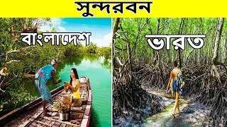 Indian sundarbans travel guide vs Bangladeshi sundarbans travel guide 2020 [upl. by Aromat]