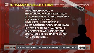 Violenze di Capodanno chi sono gli aggressori e come hanno agito  Ore 14 del 13012022 [upl. by Edya238]