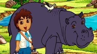 Go Diego Go Diegos Hippo Adventure Game For Kids Full HD Video [upl. by Iknarf]