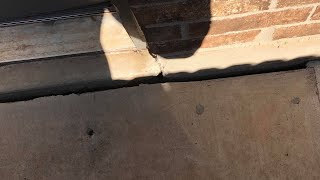 Seal Gap In Foundation and Concrete Patio or Sidewalk [upl. by Assyram]