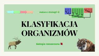 22 Klasyfikacja organizmów 📊 taksony rangi  matura z biologii 🌿 biologia rozszerzona 📕liceum [upl. by Elie2]