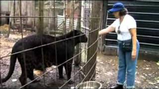 Bear Creek Sanctuary  Jaglion Jahzara and Susan [upl. by Hadnama]