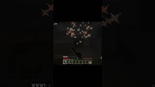 The Broodmother lol minecraft funnyvideo gaming [upl. by Eolande700]