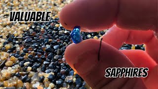 FOSSICKING IN AUSTRALIA THE HUNT FOR BLUE SAPPHIRES IN TASMANIA [upl. by Hgielrac]