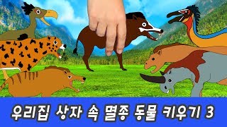 한국어ㅣ우리집 상자 속 멸종된 동물 키우기 신생대 동물 이름 외우기 멸종동물 특집 컬렉타ㅣ꼬꼬스토이 [upl. by Yebloc142]