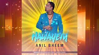 Anil Bheem  Hawayein Bollywood Remix 2k18 [upl. by Ailhat]