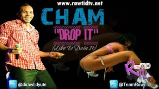 CHAM  DROP IT LIKE U DOIN IT [upl. by Artenal]