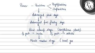 Identify the three stage of hydrach succession in given diagram [upl. by Juliana108]