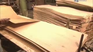 How its made  Plywood doors [upl. by Nnylodnewg631]