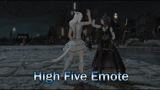 FFXIV High Five Emote 531 [upl. by Silvester]