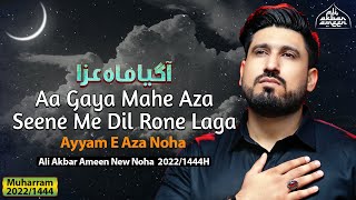 Nohay 2022  Aa Gaya Mahe Aza  Ali Akbar Ameen Nohay 2022  Noha 2022  Noha Istaqbal E Muharram [upl. by Asille]