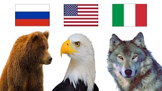 National Animals of the World [upl. by Yendahc308]