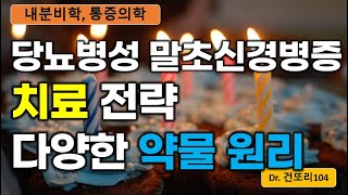 당뇨병성 말초신경병증 치료에 사용되는 다양한 약물의 원리이해 [upl. by Orual]