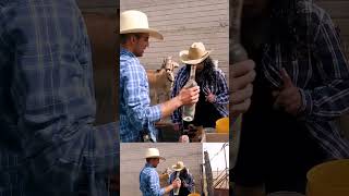 LOS FAMOSOS PAJARETES shortsvideo zacatecas mexico [upl. by Kcinemod]