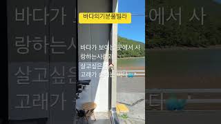 보이는건 다가 아니야깊은곳바다의기분풀빌라 바다 travel 여행 여름 힐링 번아웃 치유 공감공유 소통 일상통영펜션 통영풀빌라 통영맛집 조식바베큐장 [upl. by Junina71]