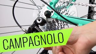 Campagnolo Xenon 10fach Schaltung einstellen  einfach amp schnell  Fahrradorg [upl. by Zitah]