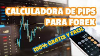 📊Como Calcular Apalancamiento Lotaje de Forex y Gestión de Riesgo [upl. by Ahgem]