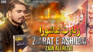 Zain Ali Rizvi  Ziarat e Ashura  New Noha 20221444 [upl. by Diskson]