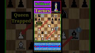 Petrovs Defense Three Knights Game By Queens Trap 🌟 shorts chess [upl. by Curren]