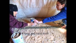 experience under Bedouin tent in Azraq [upl. by Ajax]