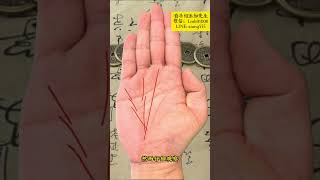 🔥測一測你是哪一種手型 🤚☯看看是不是跟你一樣的手紋，palmistry 手相 [upl. by Lacombe]