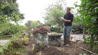 Les hortensias du haut bois Comment planter un hortensia dans un parterre [upl. by Ollehcram]