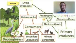 Biology 012 Ecosystems  Biotic and Abiotic Factors [upl. by Nomma]