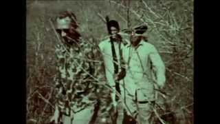 Rare Footage Tiger Hunting with Recurve Bow From The Fred Bear Archive [upl. by Erbma]