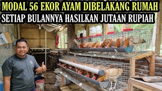 KEREN POLISI INI SUKSES TERNAK AYAM KAMPUNG PETELUR SKALA RUMAHAN💯 [upl. by Warrin]