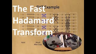 Fast Hadamard Transforms [upl. by Drogin]