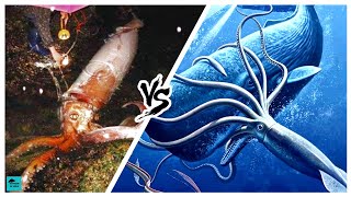 SPERM WHALE VS GIANT SQUID – Who would win [upl. by Nitsrek435]