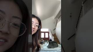 Dermatology allergist follow up appointment PART 1 catmomlife sickcat catlife catlover [upl. by Kerrison]