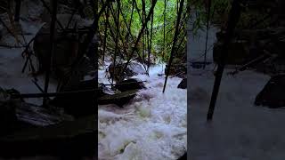 4KHEAVY WATERFALL SOUND DEEP IN THE MOUNTAIN FORESTAMAZING WATERFALL 4KRELAXING NATURE SOUND [upl. by Narra914]