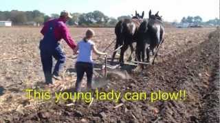 Plow Day Goldsboro North Carolina [upl. by Elleivad]