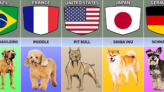 Dog Breeds From Different Countries [upl. by Aicirtan559]