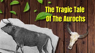 The Tragic Tale Of The Aurochs  Extinction Stories  The Florist And Faunist [upl. by Enirol]