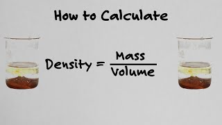 How To Calculate Density  With Examples [upl. by Zusman]