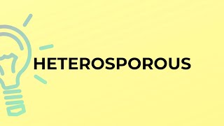 What is the meaning of the word HETEROSPOROUS [upl. by Esten460]