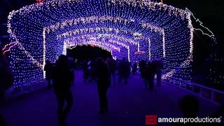 Video Tour quotAustin Trail of Lightsquot Holiday Light Show 2014 [upl. by Dougie]